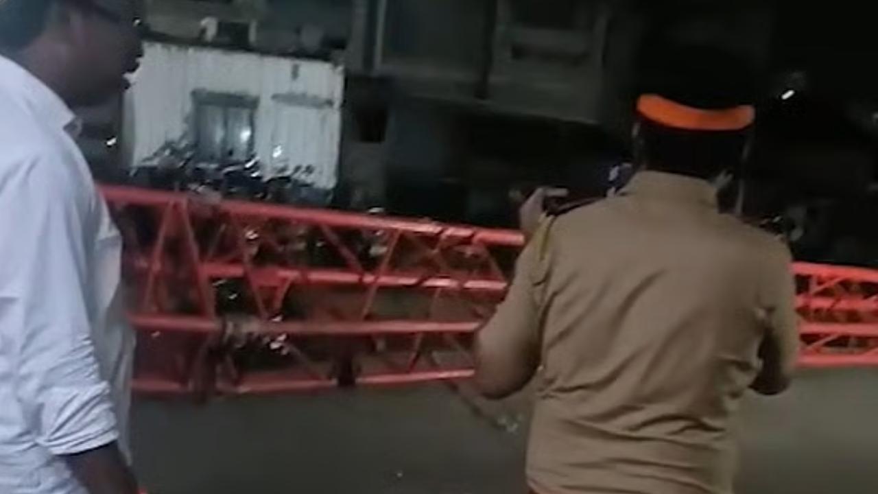 વીડિયોમાંથી લીધેલા સ્ક્રિનશોટ