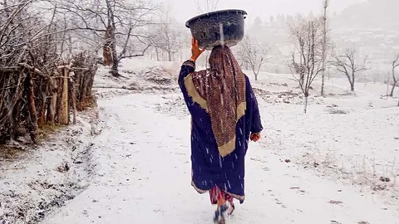 ફાઇલ તસવીર