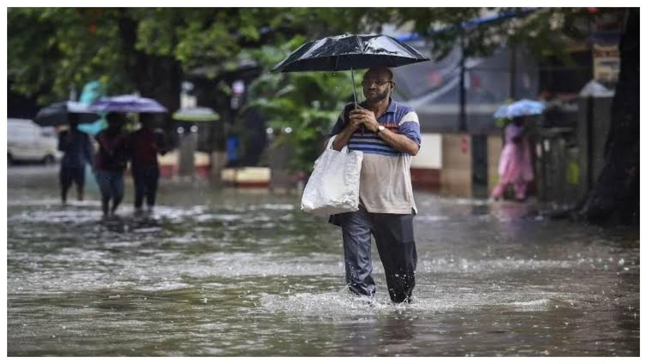 પ્રતીકાત્મક તસવીર