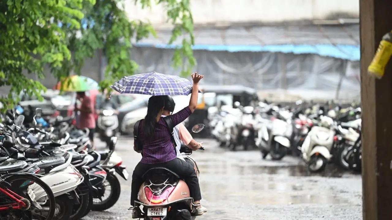 પ્રતીકાત્મક ફાઇલ તસવીર