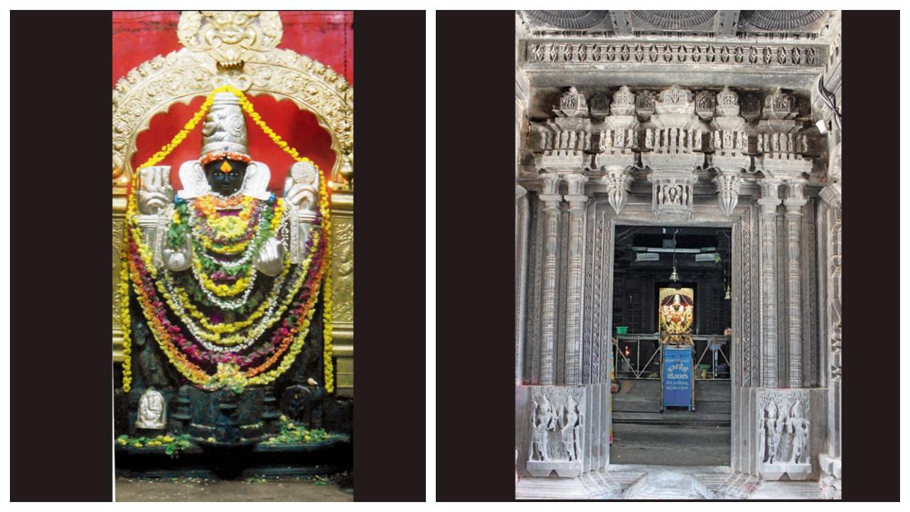 ડાબા હાથમાં શંખ અને જમણા હાથમાં ત્રિશૂળ સાથે હરિહરેશ્વર સ્વરૂપ.