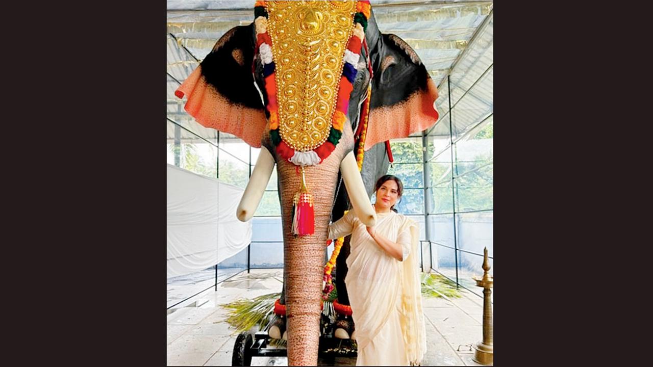 રિચા ચઢ્ઢા