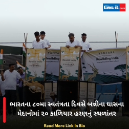 ભારતના ૮૦મા સ્વતંત્રતા દિવસે બન્નીના ઘાસના મેદાનોમાં ૨૦ કાળિયાર હરણનું સ્થળાંતર