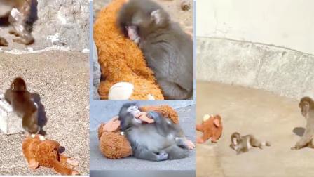 તસવીર સૌજન્યઃ સોશ્યલ મીડિયા