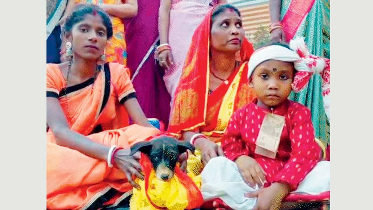 વાઇરલ વિડીયોમાંથી સ્ક્રીનશૉટ