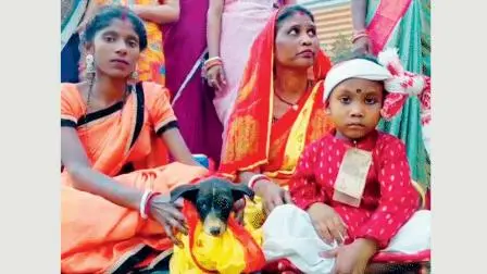 વાઇરલ વિડીયોમાંથી સ્ક્રીનશૉટ