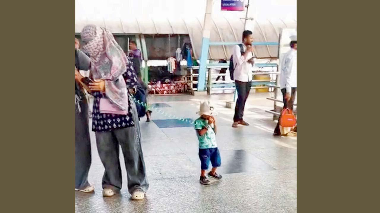 વાઇરલ વિડીયોમાંથી સ્ક્રીનશૉટ