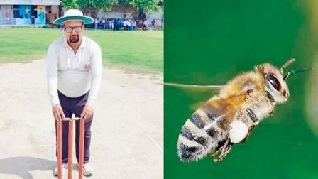 માનિક ગુપ્તા ૩૦ વર્ષથી અમ્પાયર તરીકે કાનપુર ક્રિકેટ અસોસિએશન સાથે જોડાયેલા હતા