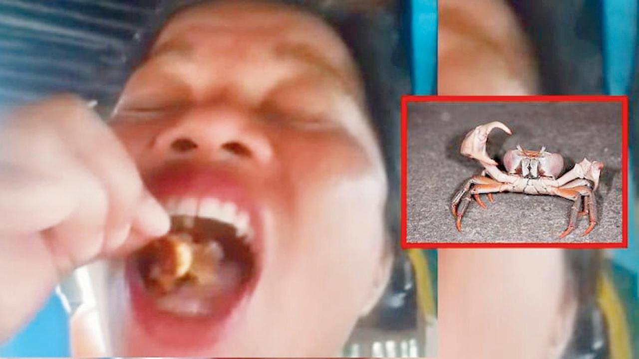 ફેમસ થવાની લાયમાં જીવતો કરચલો ગળી લેતાં જીવ ગયો