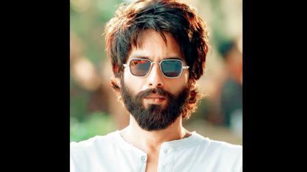 ઍનિમલ પાર્કમાં જોવા મળશે કબીર સિંહ?