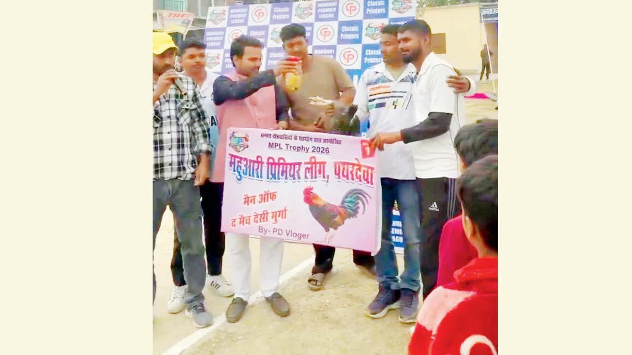 ક્રિકેટ ટુર્નામેન્ટ