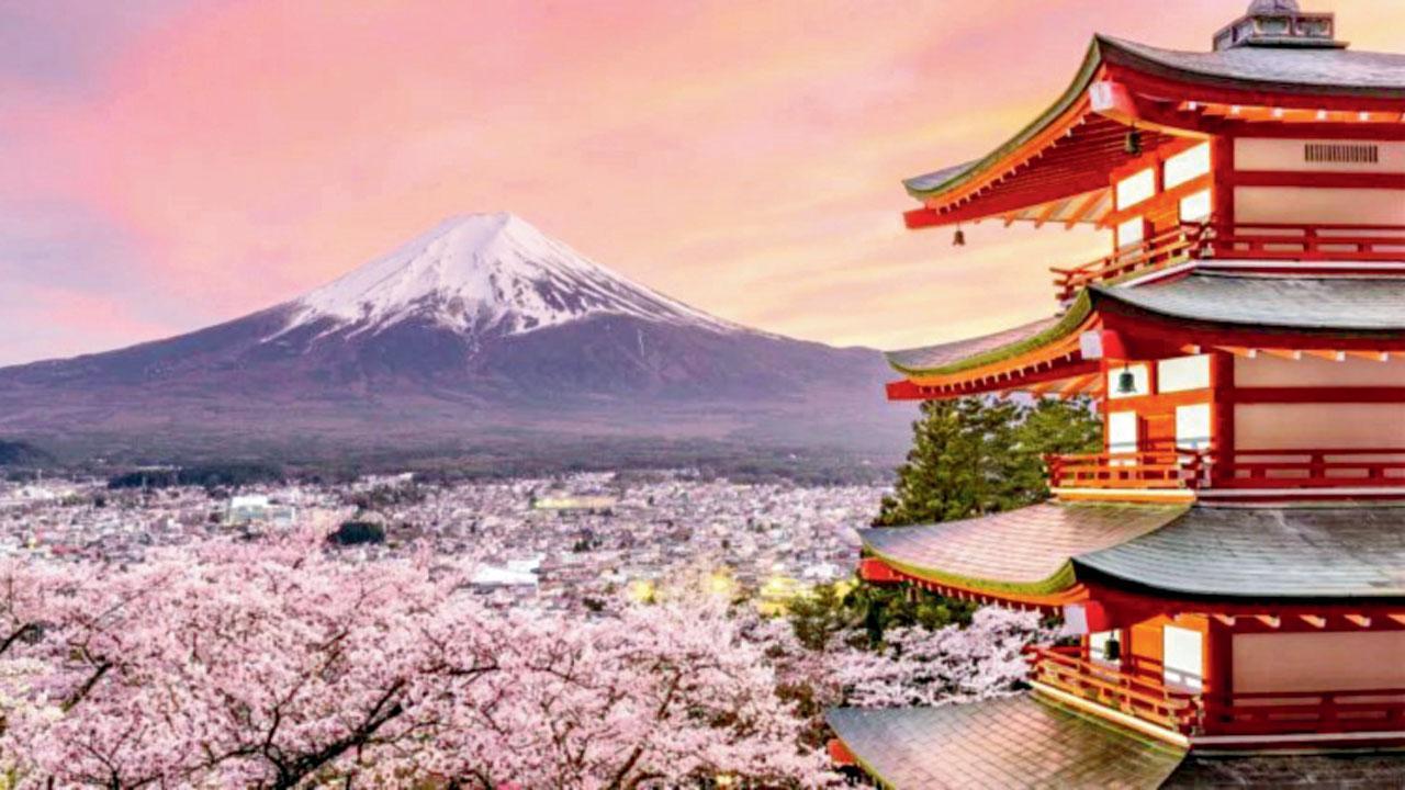 લોકોની સુખાકારી જાળવવાના અને પર્યાવરણને બચાવવાના ઉદ્દેશથી ૧૦ વર્ષથી ચાલતો ફેસ્ટિવલ રદ કરવામાં આવ્યો