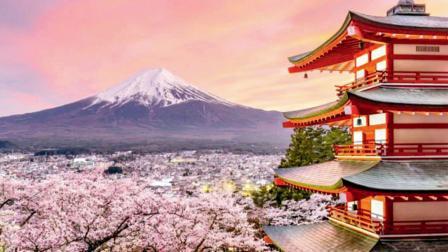 લોકોની સુખાકારી જાળવવાના અને પર્યાવરણને બચાવવાના ઉદ્દેશથી ૧૦ વર્ષથી ચાલતો ફેસ્ટિવલ રદ કરવામાં આવ્યો