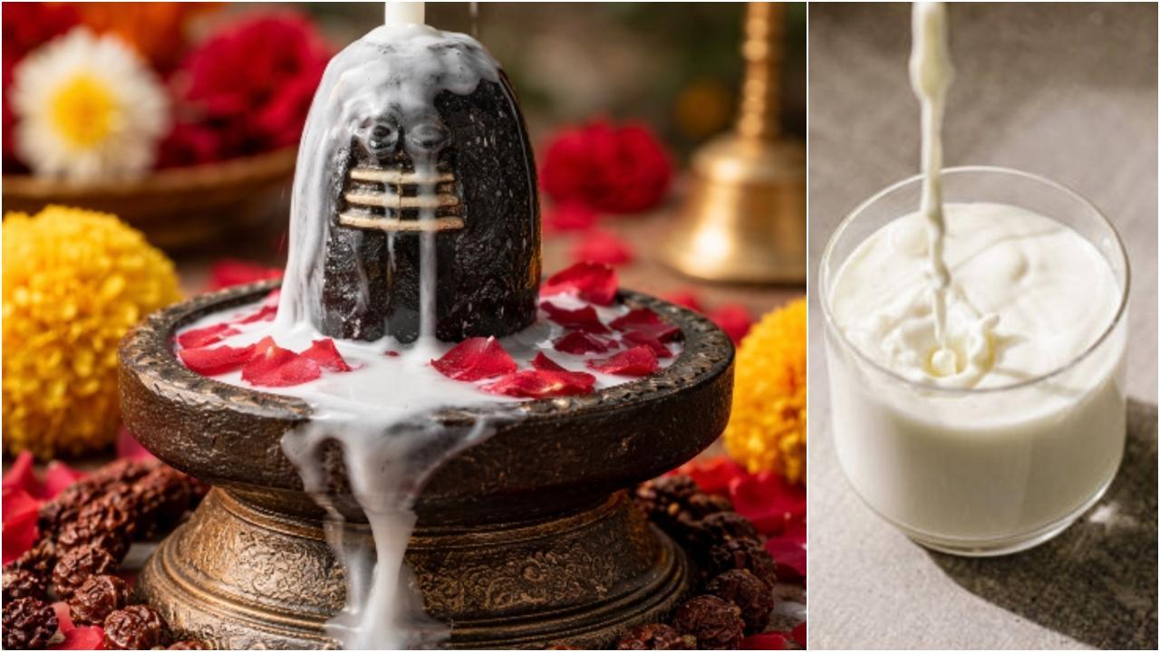 શિવરાત્રીમાં દૂધનો આહાર ઉપવાસમાં પણ શાતા આપે છે - તસવીર સૌજન્ય પૂજા સાંગાણી