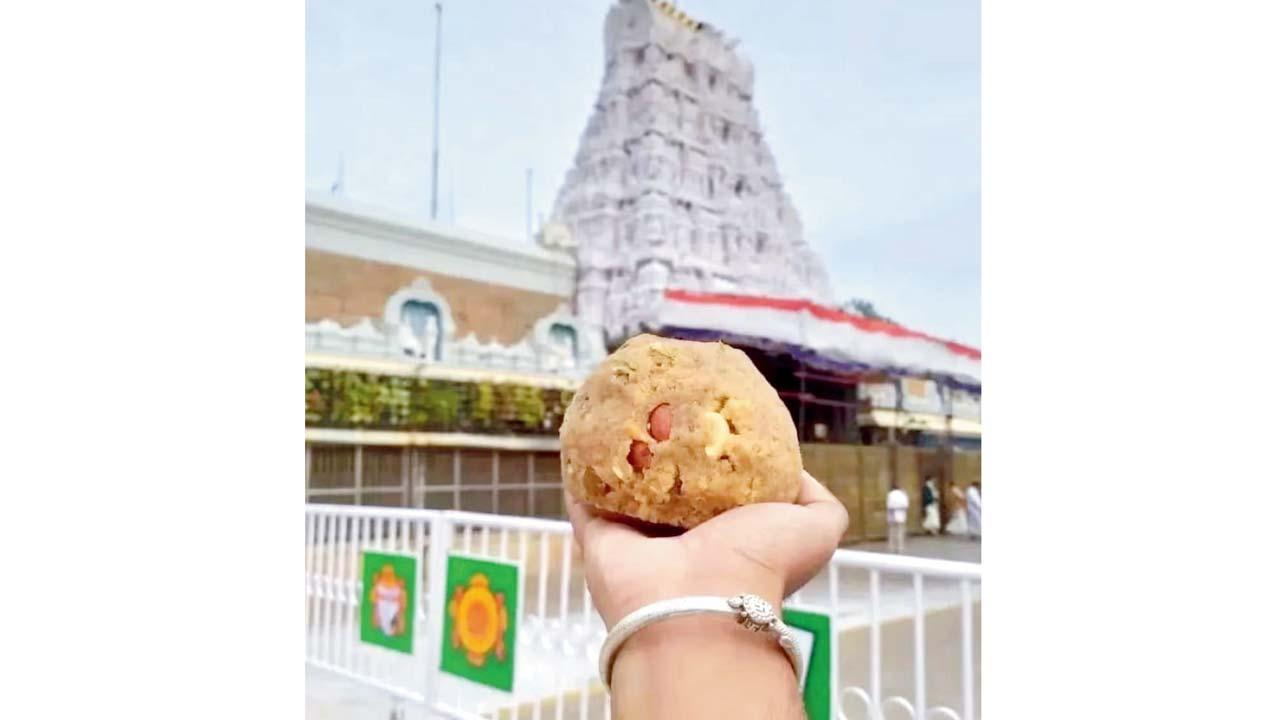 પ્રતીકાત્મક તસવીર