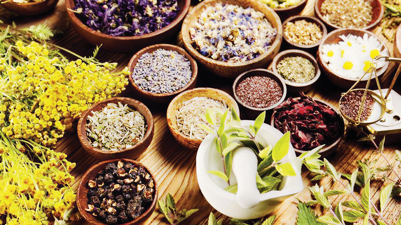 પ્રતીકાત્મક તસવીર