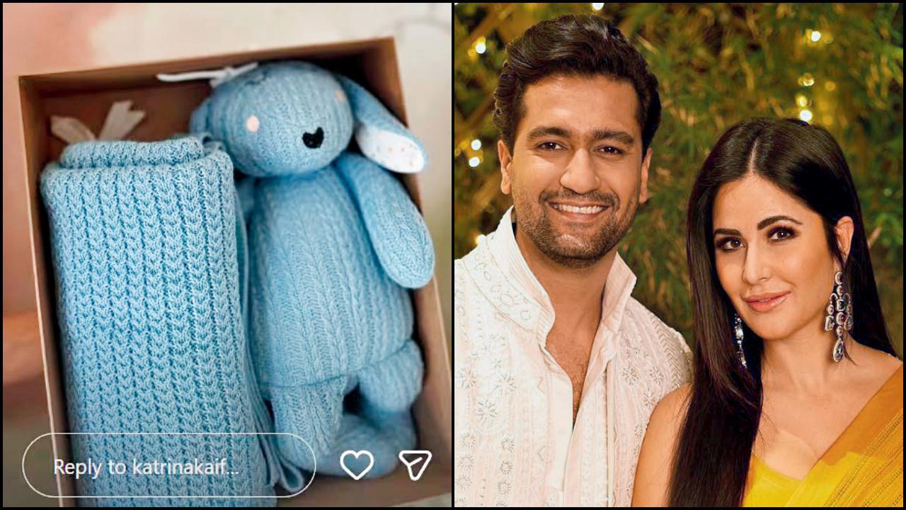 કૅટરિના કૈફ અને વિકી કૌશલના દીકરા માટે આલિયા ભટ્ટે મોકલી ખાસ ગિફ્ટ