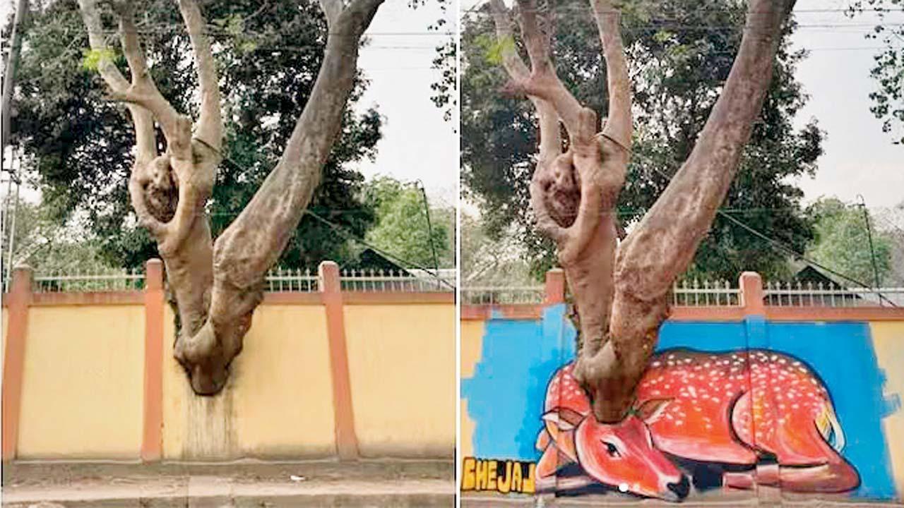 જુઓ કલાકારી