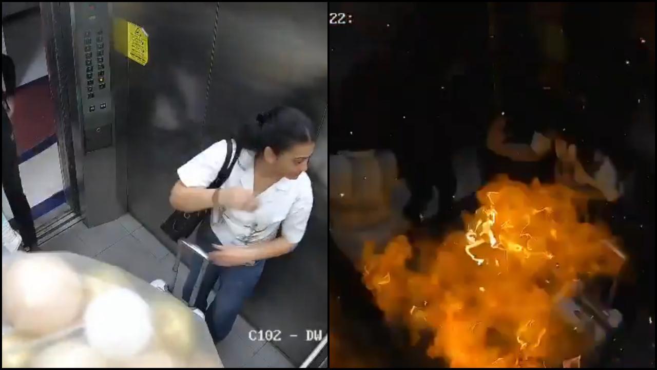 વાયરલ વીડિયોમાંથી સ્ક્રીન શૉટ (તસવીર: સોશિયલ મીડિયા)