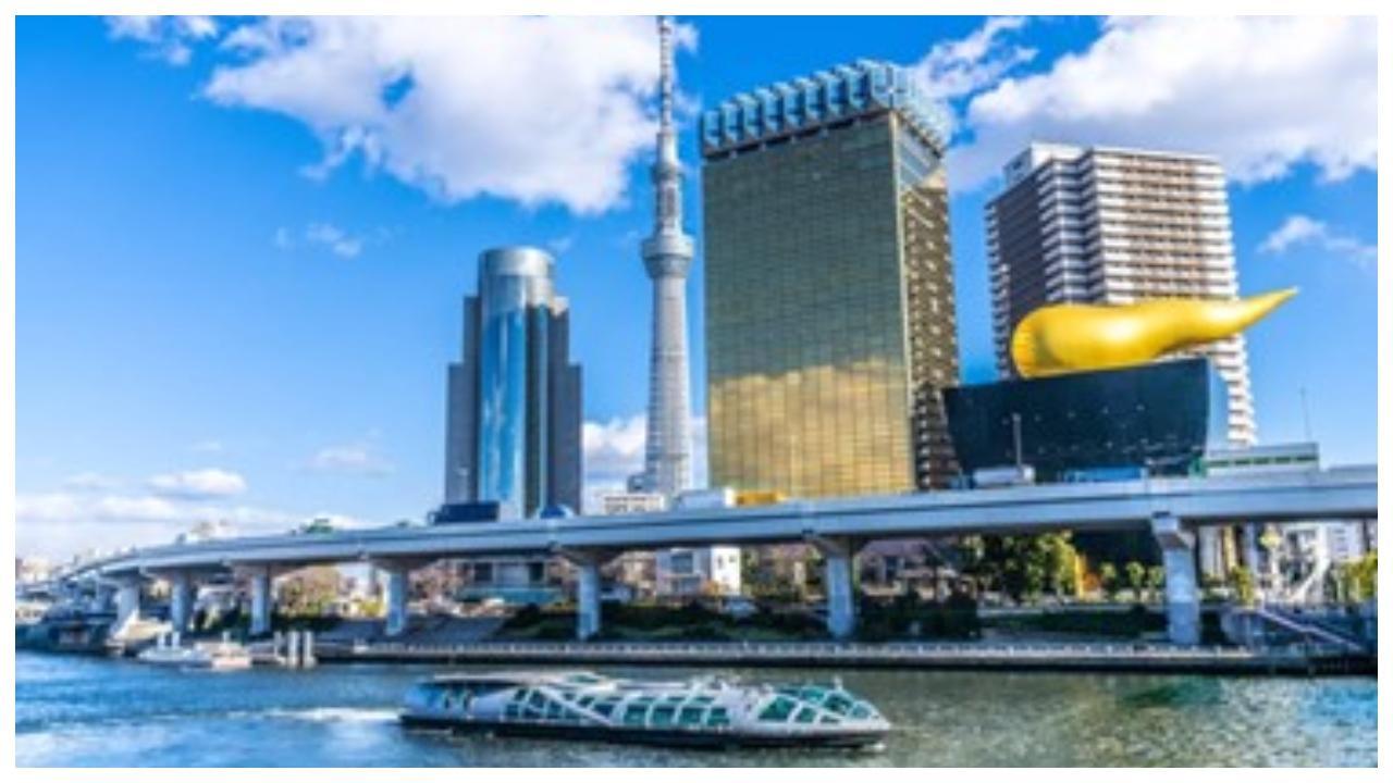 ટોક્યોમાં જે દિશામાં જોઇએ ત્યાં પરફેક્શન અને સૌંદર્ય છે