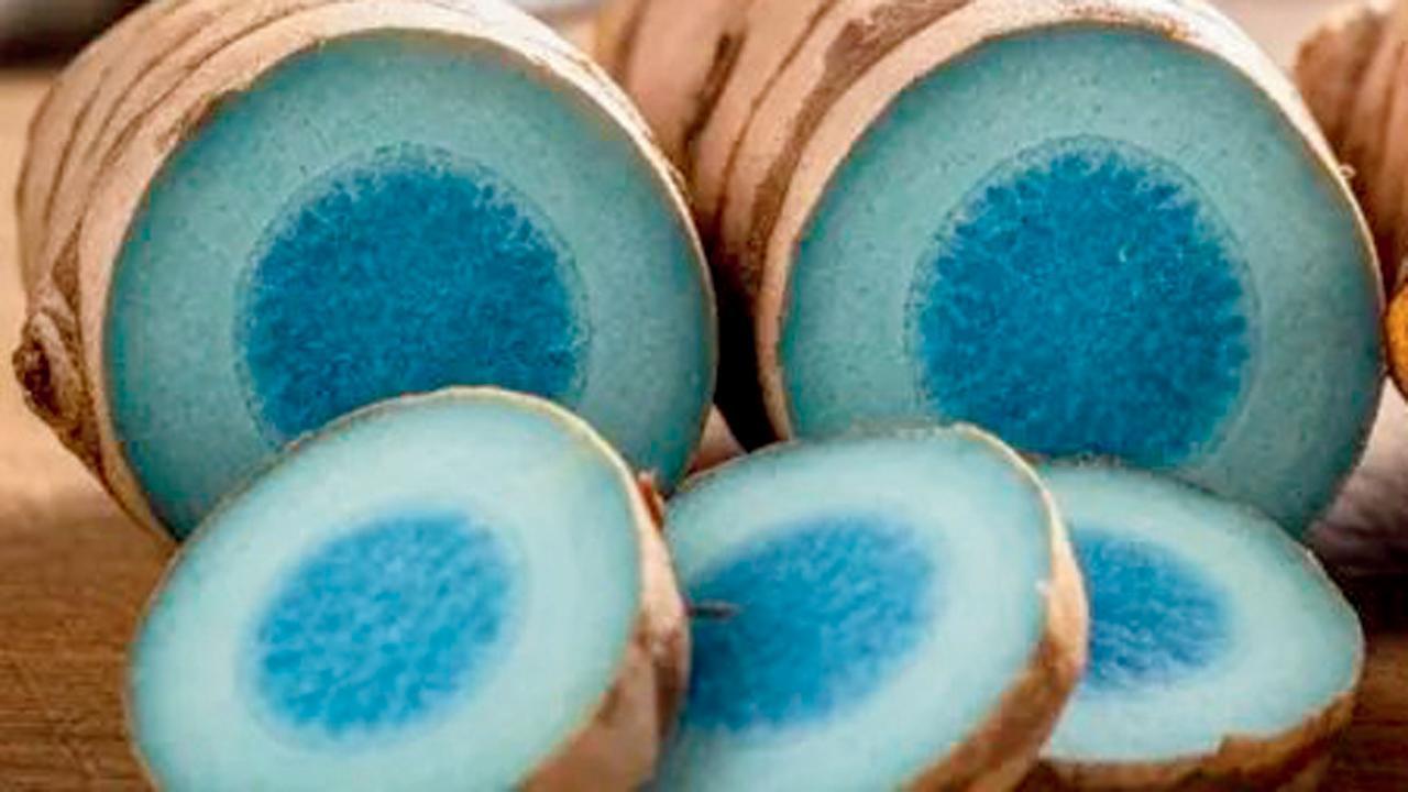 પ્રતીકાત્મક તસવીર