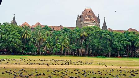 ફાઇલ તસવીર