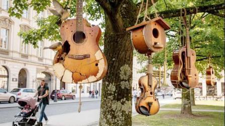 વાઇરલ તસવીર