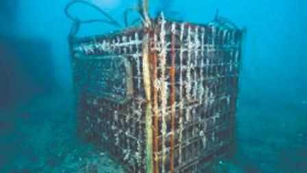 વાઇરલ વિડીયોમાંથી સ્ક્રીનશૉટ