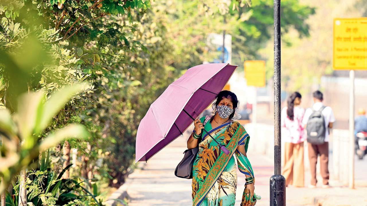 પ્રતીકાત્મક તસવીર