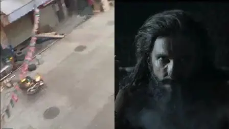 વાયરલ વીડિયોનો સ્ક્રીન ગરૅબ (તસવીર સૌજન્ય: સોશિયલ મીડિયા)