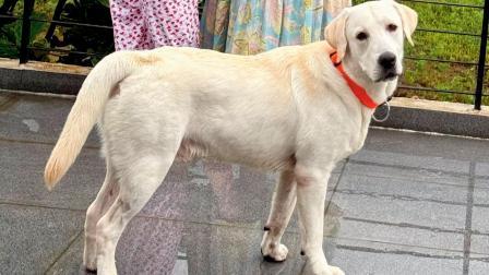 પ્રતીકાત્મક ફાઇલ તસવીર