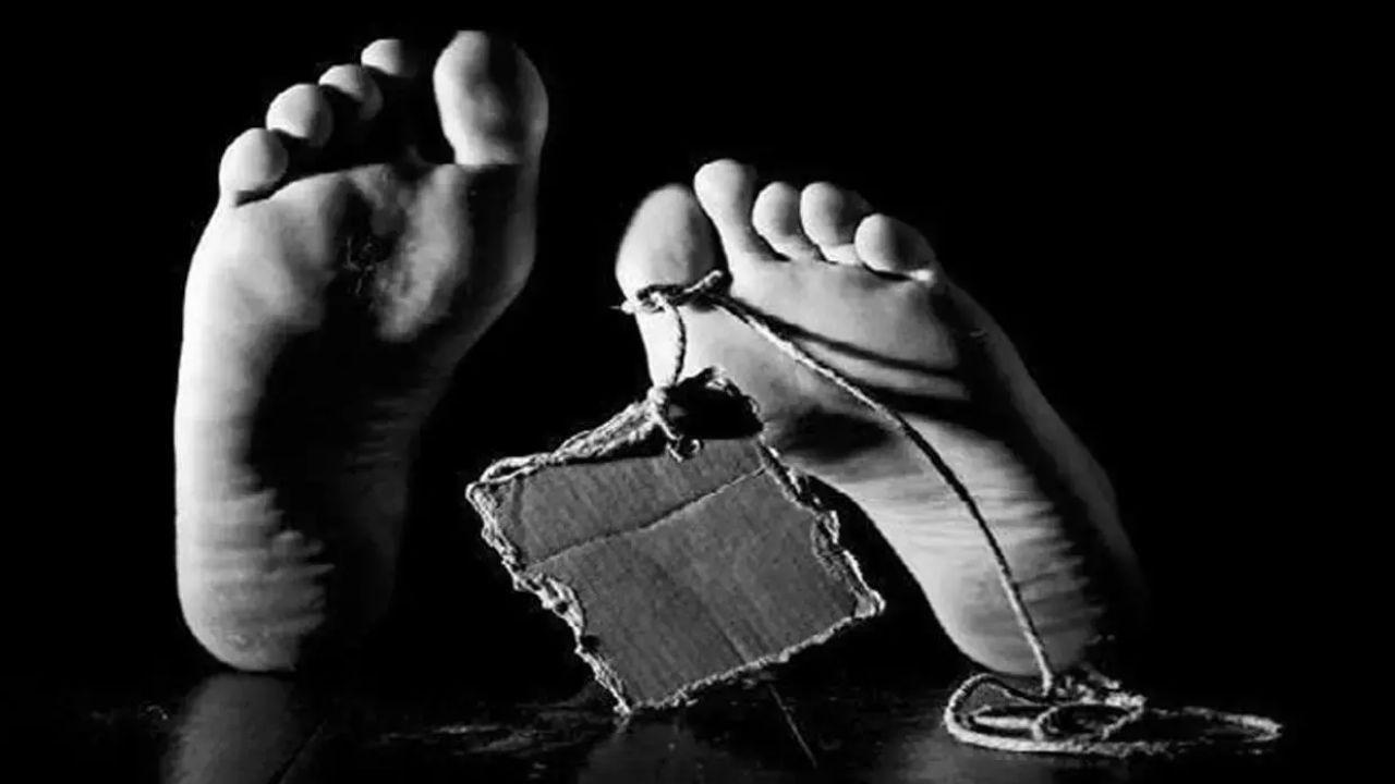 પ્રતીકાત્મક તસવીર