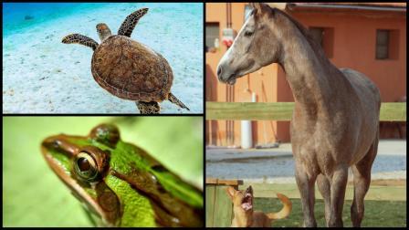 પ્રતિકાત્મક ફાઇલ તસવીર