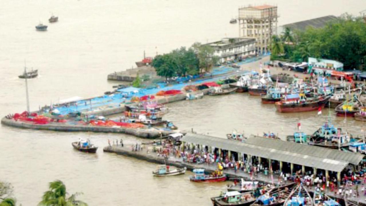 સસૂન ડૉક પર નાંગરેલી માછીમારોની હોડીઓ. 