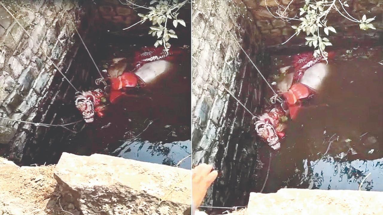 ઢોલ-DJના જોરદાર અવાજથી ચમકીને દુલ્હાની ઘોડી વીફરી અને કૂવામાં છલાંગ લગાવી દીધી