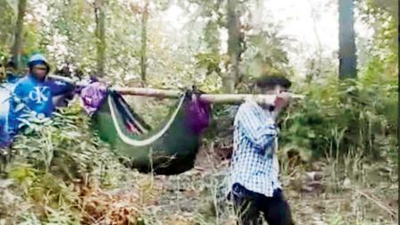 ડુંગરાળ વિસ્તારમાં રોડ-કનેક્ટિવિટી અને હેલ્થ-ફૅસિલિટીના અભાવે યુવકને ઝોળીમાં ઊંચકીને હેલ્થ-સેન્ટર સુધી લઈ જવો પડ્યો હતો.