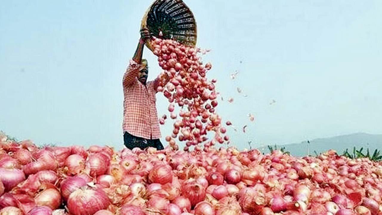 પ્રતીકાત્મક તસવીર