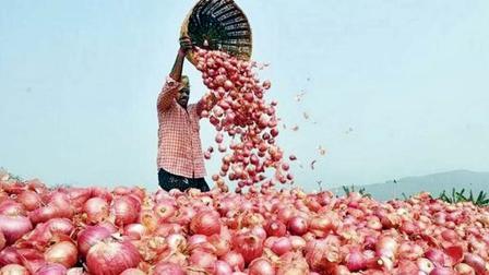 પ્રતીકાત્મક તસવીર