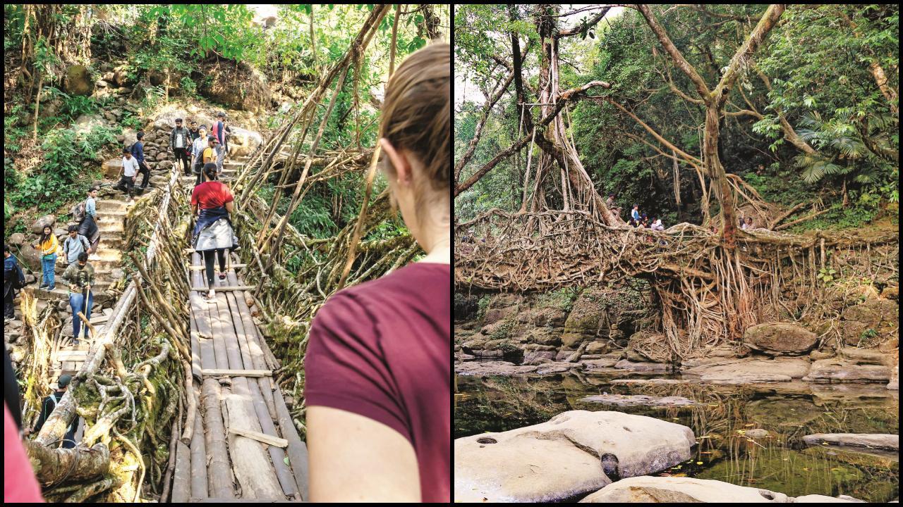 મેઘાલયના લિવિંગ રૂટ બ્રિજ