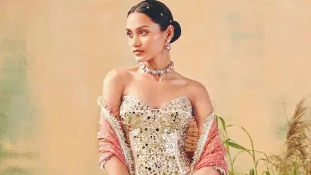 પ્રતીકાત્મક તસવીર