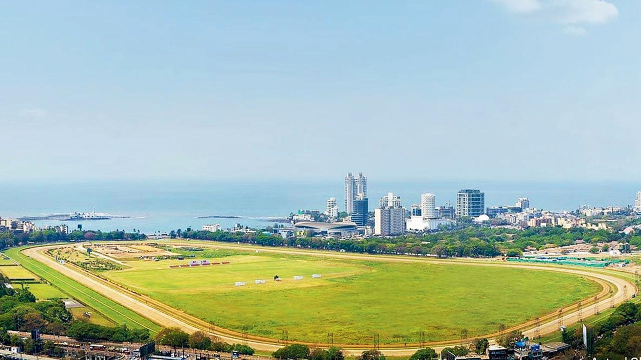 ફાઇલ તસવીર