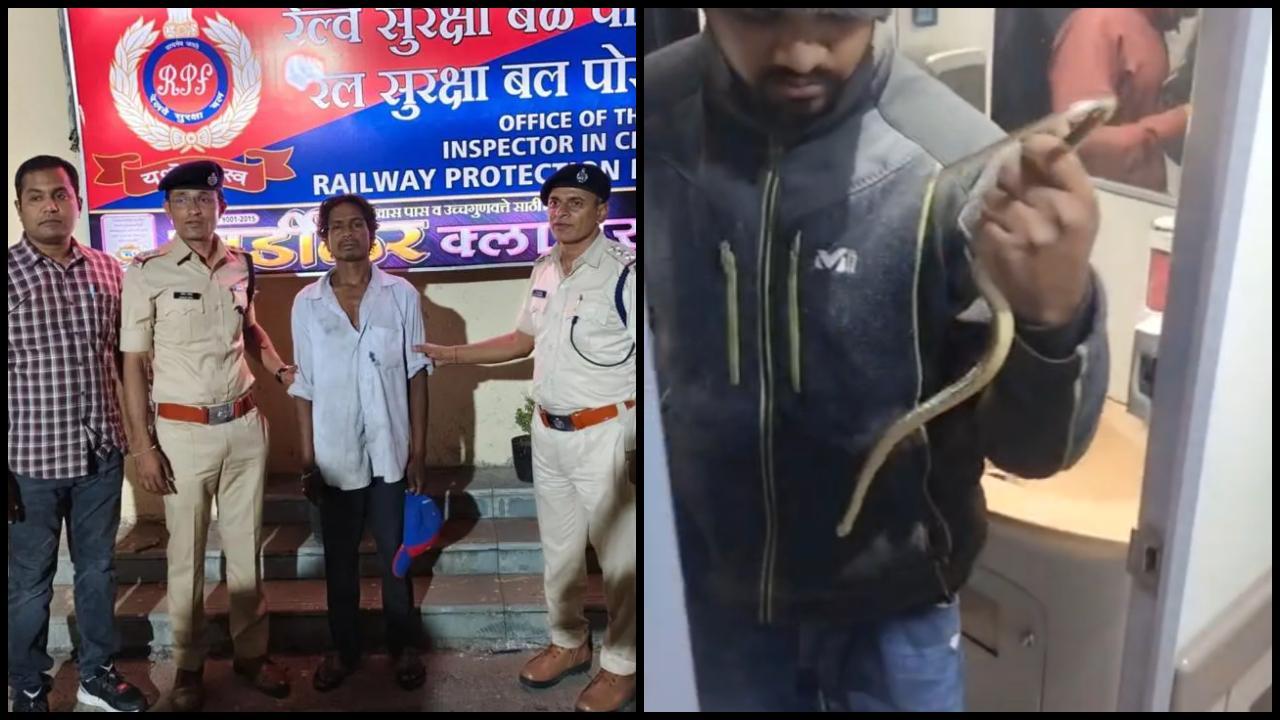 સીસીટીવી ફૂટેજમાં આરોપી સાપને ટોઇલેટની અંદર મૂકતો જોવા મળ્યો હતો. (તસવીર: મિડ-ડે)