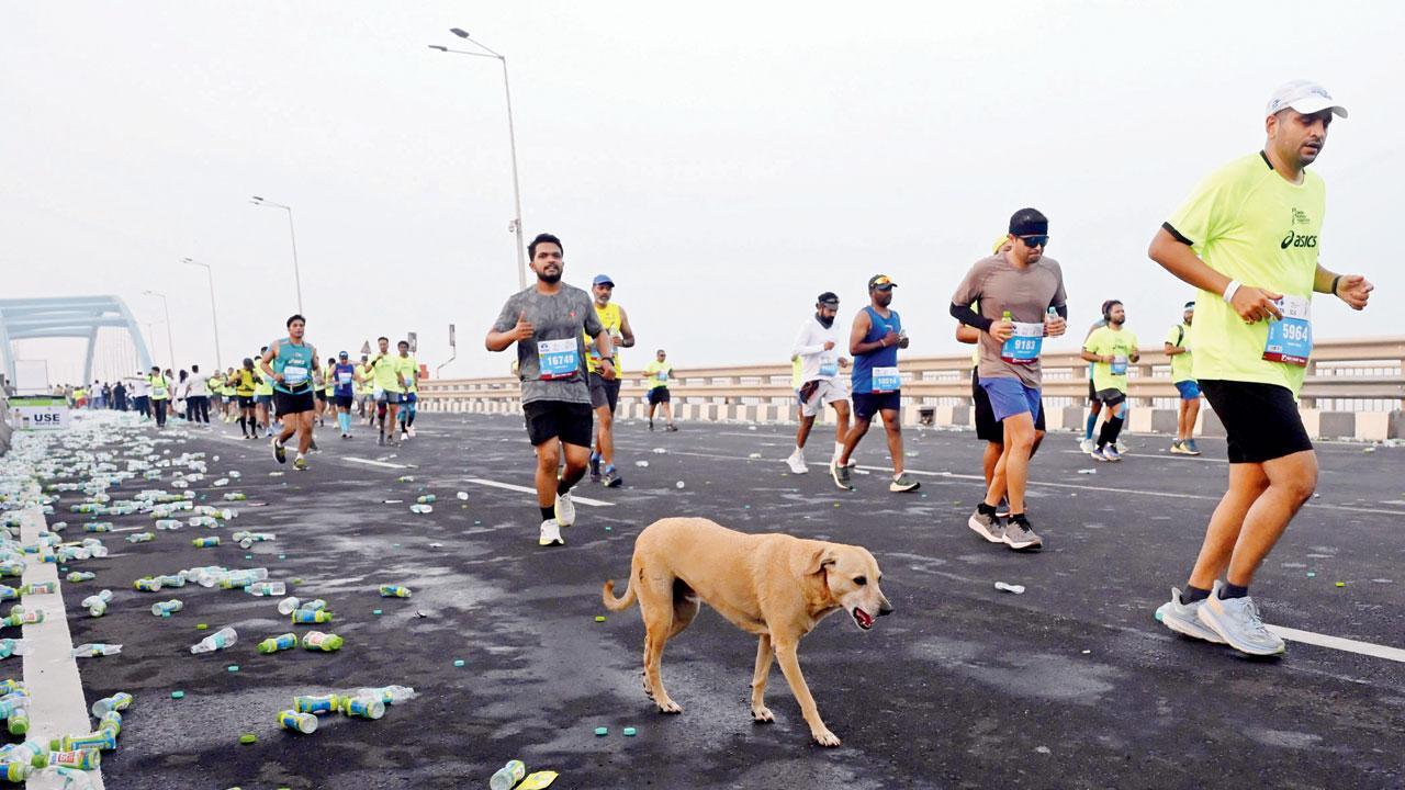 ફાઇલ તસવીર