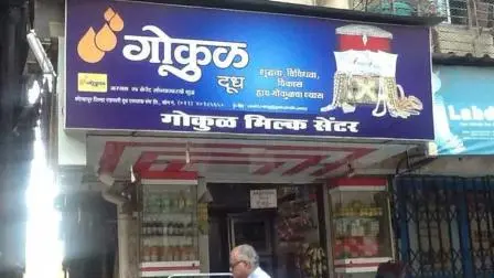 પ્રતીકાત્મક તસવીર