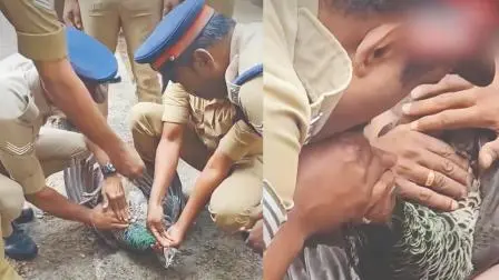 વાઇરલ વિડીયોમાંથી સ્ક્રીનશૉટ