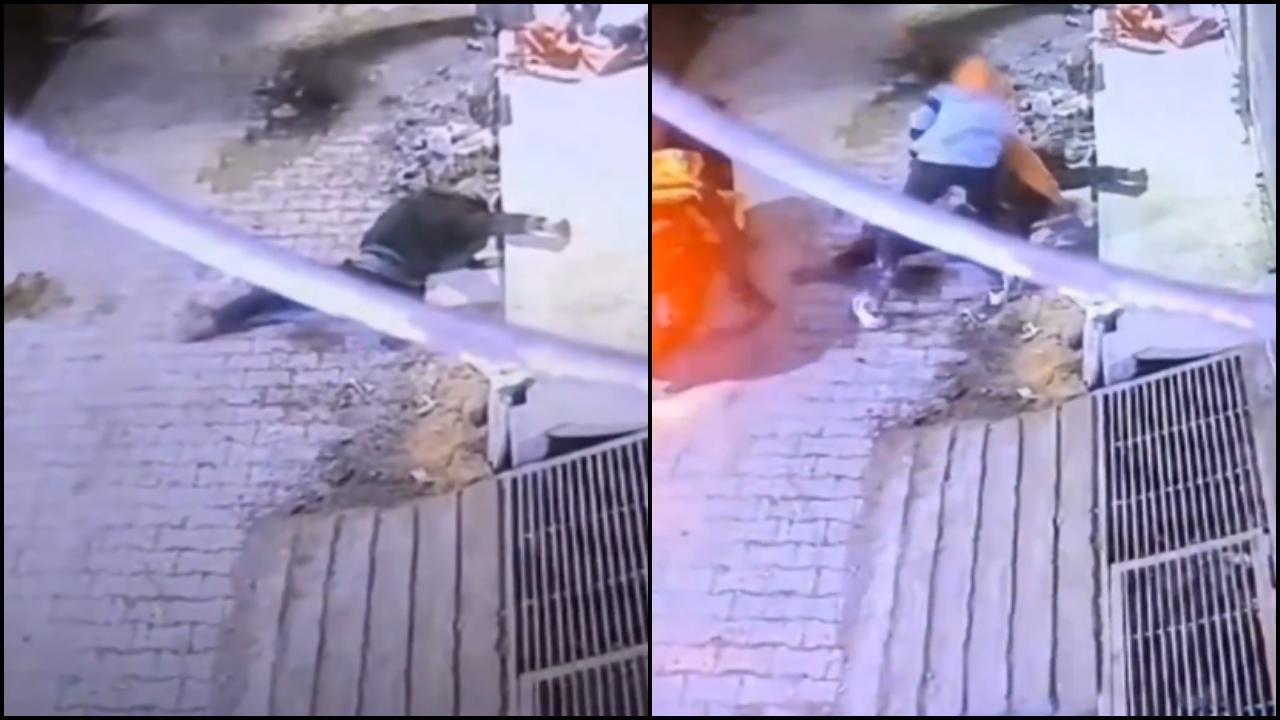 વાયરલ વીડિયોમાંથી સ્ક્રીન શૉટ (તસવીર: સોશિયલ મીડિયા)