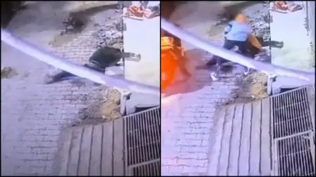 દિલ્હીમાં માનવતાના શરમાઈ: રોડ પર પડી ગયેલી વ્યક્તિને 2 વખત લૂંટવા આવ્યા ચોર