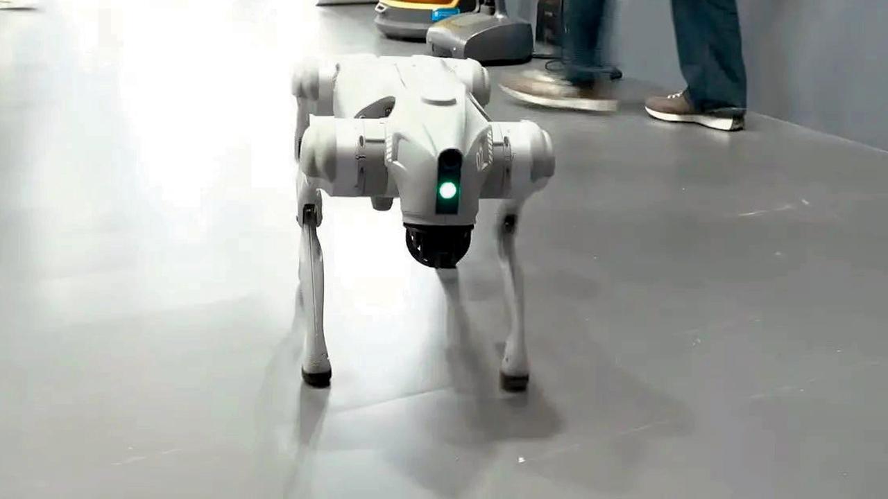 ડૉગ રોબો ઓરીઅન