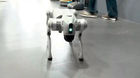 ડૉગ રોબો ઓરીઅન