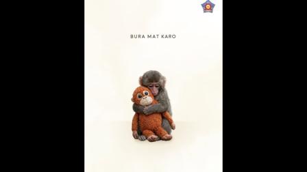 પંચ મંકી ટ્રેન્ડનો સ્ક્રીન ગરૅબ (તસવીર સૌજન્ય: સોશિયલ મીડિયા)